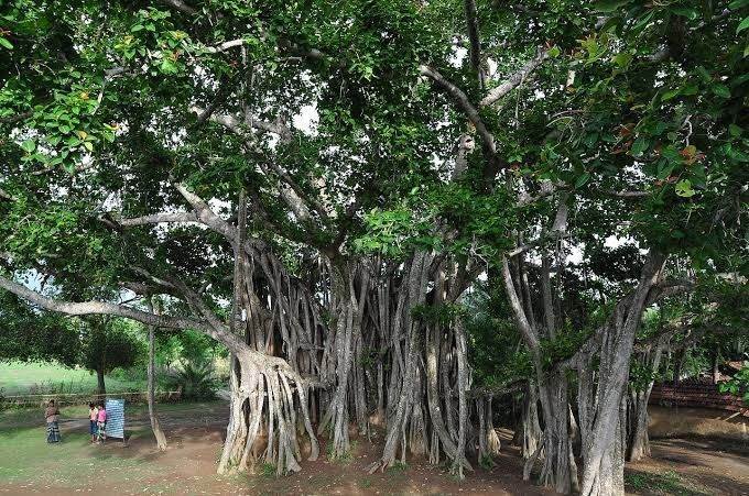 Wedding destination in Lonavala, Maharashtra