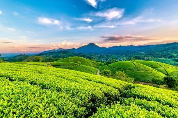 Wedding destination in Gangtok, Sikkim